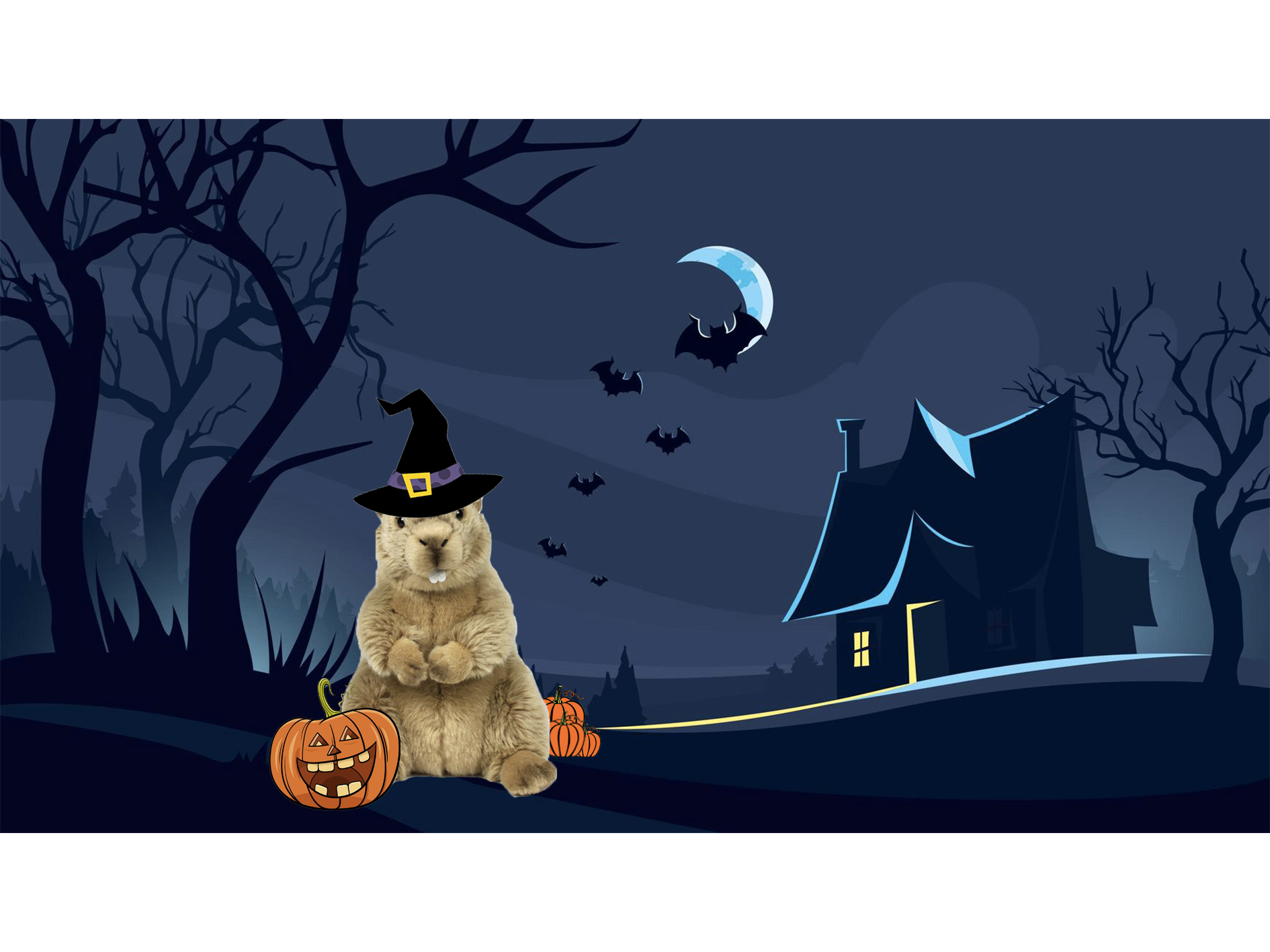 marmoute haloween