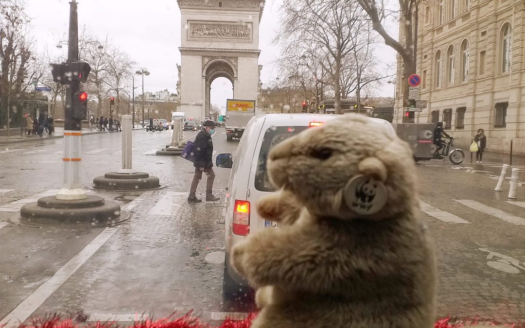 MARMOUTE A PARIS